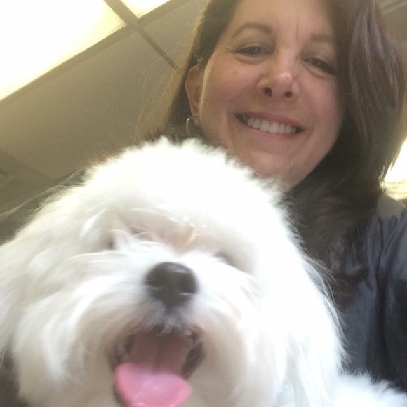 Here’s Mr. Maui! He’s always  with me Poshing! - Picture 4 of 8